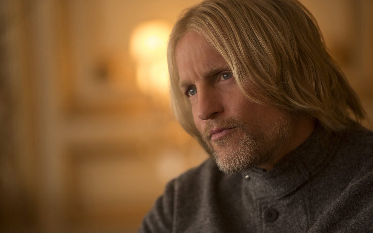 Todavía no hay actor para interpretar al joven Haymitch