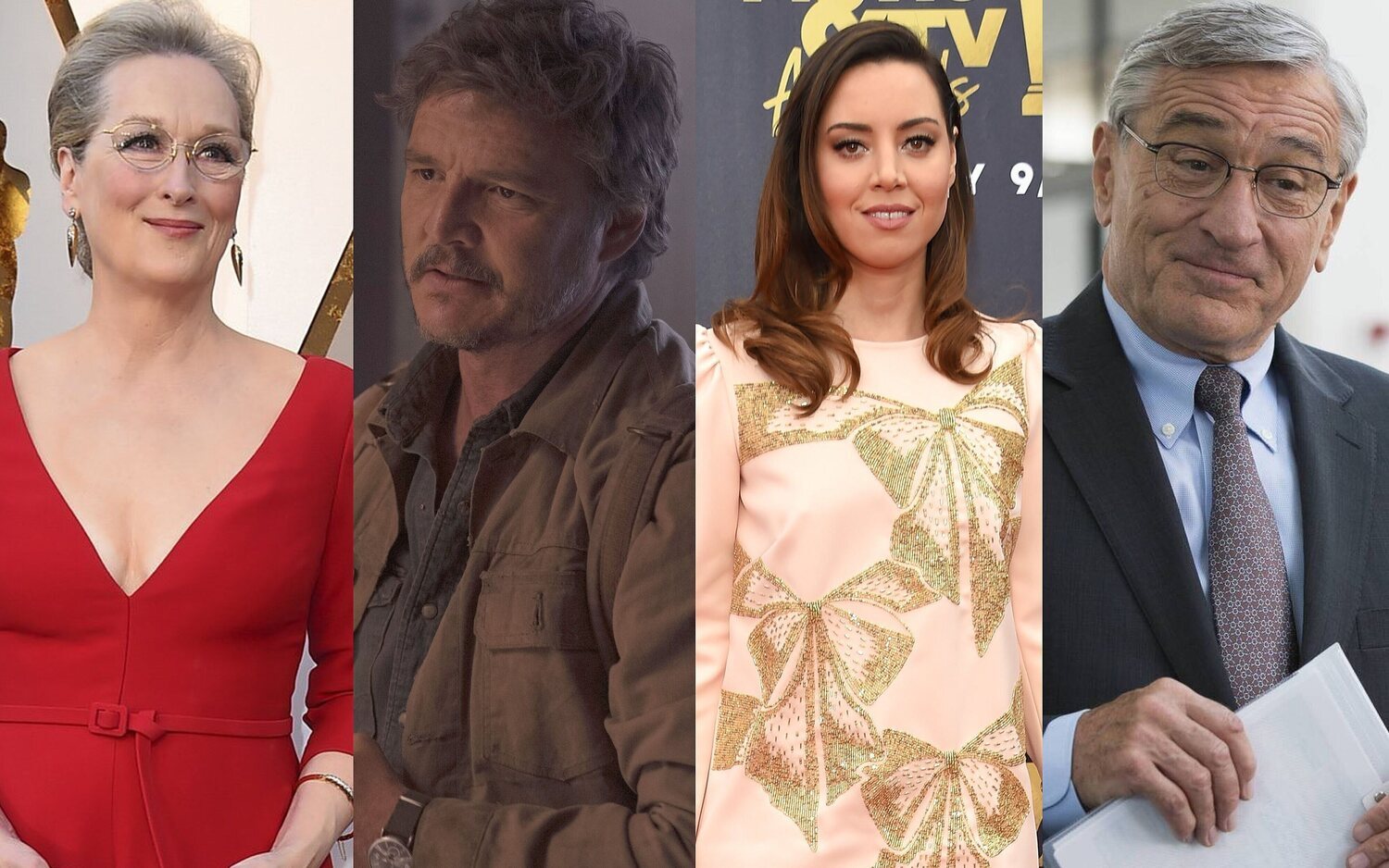 Meryl Streep, Pedro Pascal, Aubrey Plaza y Robert De Niro fueron algunos de los muchos artistas que no quisieron perderse el 50