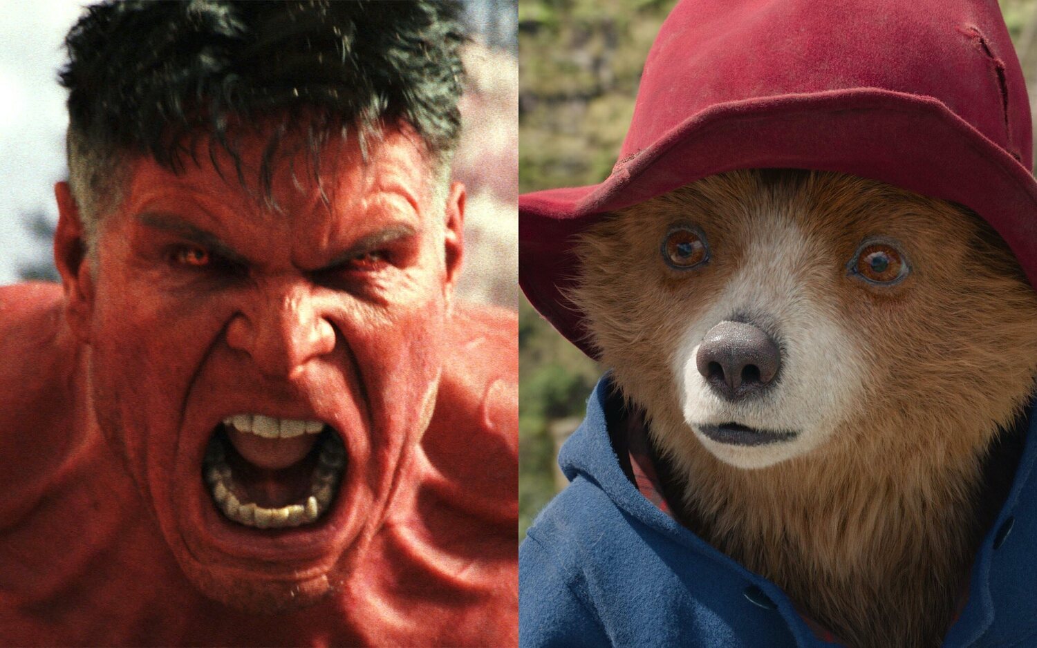 Red Hulk se impone al oso Paddington