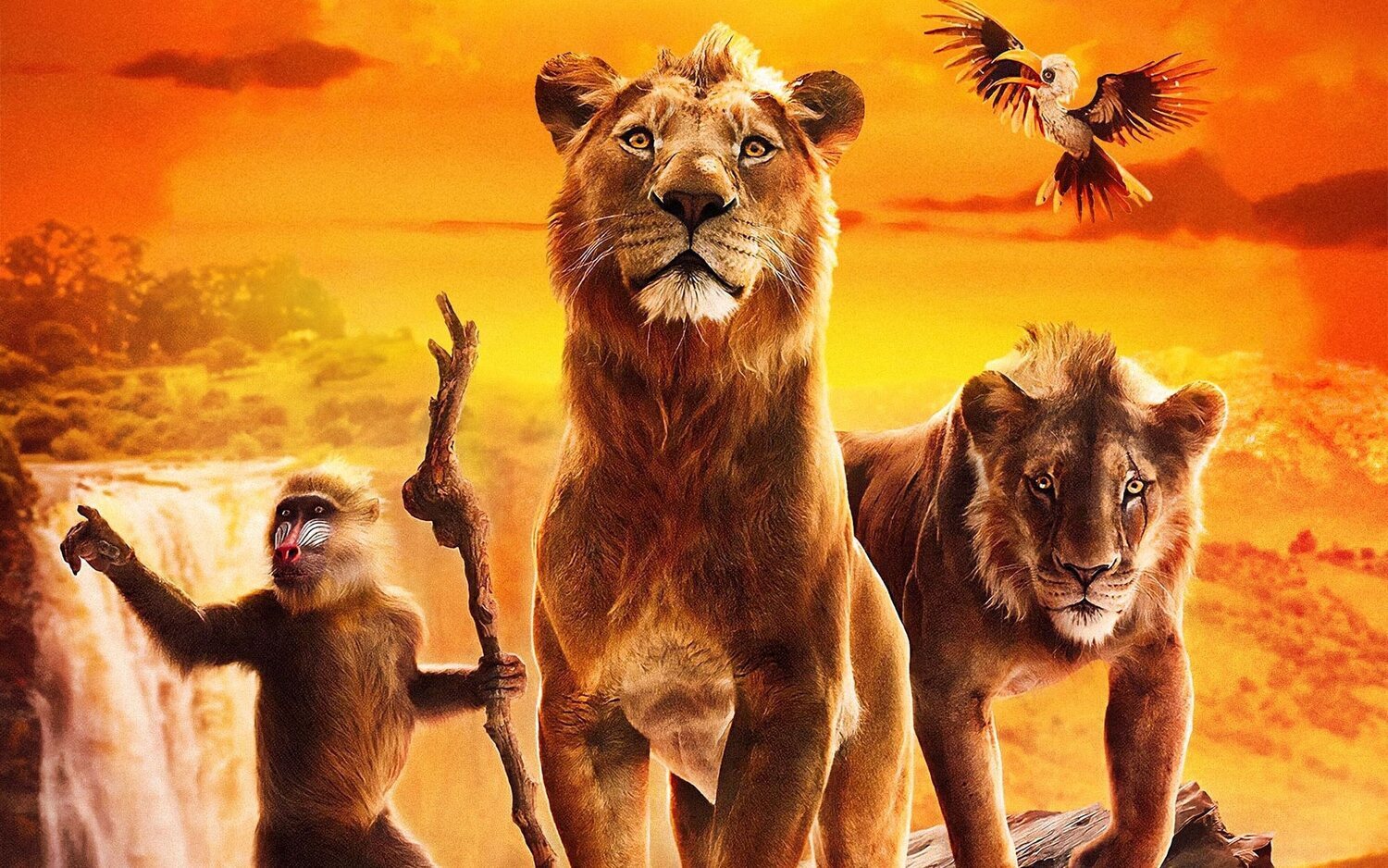 'Mufasa: El Rey León' llega pronto al catálogo de Disney+