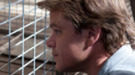 Primeras imágenes de 'We bought a zoo', con Matt Damon y Scarlett Johansson