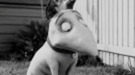 Primeras imágenes oficiales de 'Frankenweenie' de Tim Burton