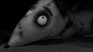 Nueva imagen de 'Frankenweenie' de Tim Burton