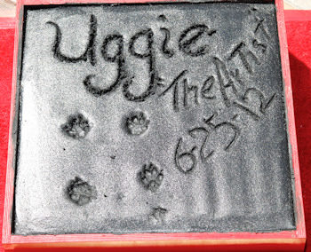 Huellas de Uggie en Hollywood