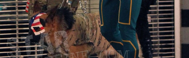 Sofía, el perro de Jim Carrey en 'Kick-Ass 2: Balls to the Wall'