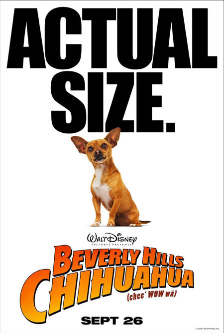 Tres carteles de 'Beverly Hills Chihuahua'