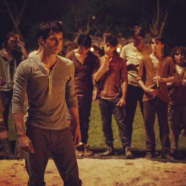 El corredor del laberinto (The Maze Runner)