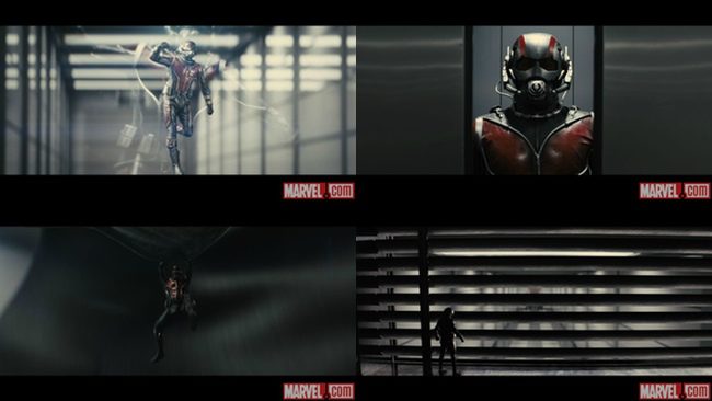 'Ant-Man'