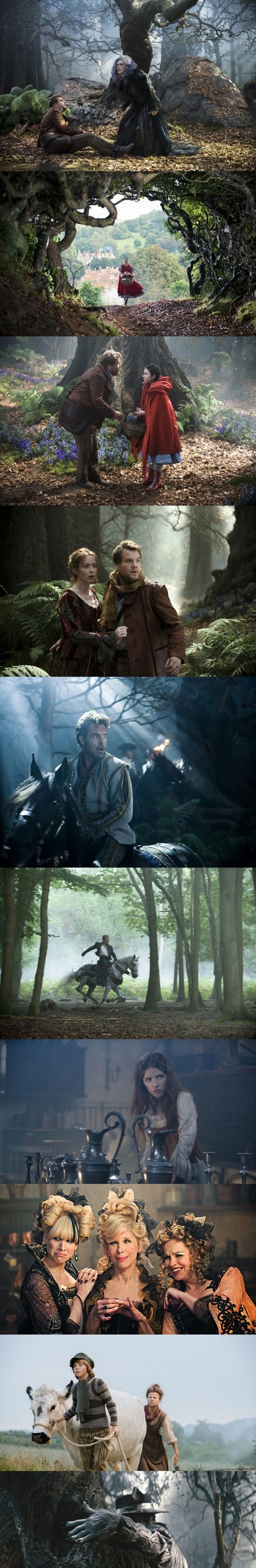 'Into the Woods'