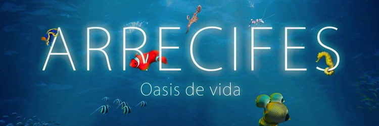 'Arrecifes, Oasis de vida' trae la fauna marina al 04 Maremostra Palma International Film Festival