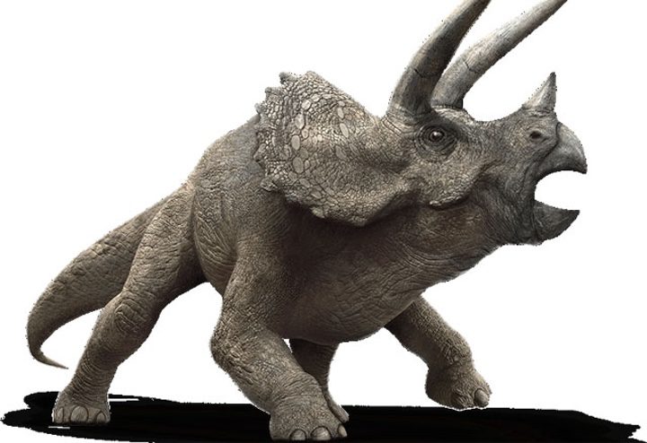  Triceratops de 'Jurassic World'