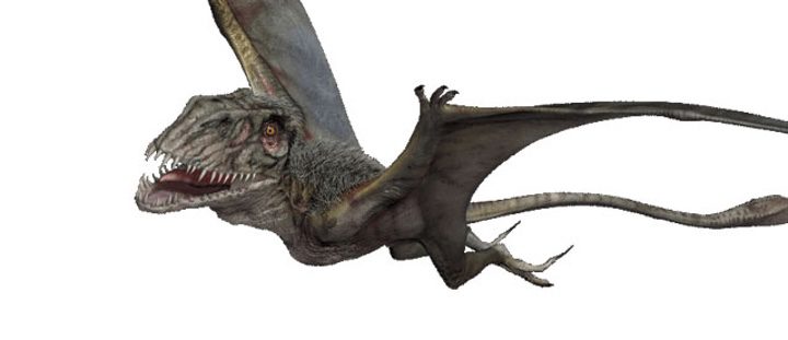  Dimorphodon de 'Jurassic World'