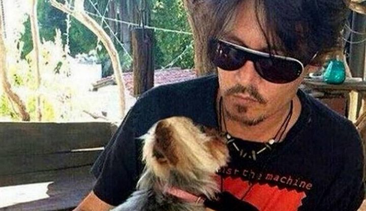 Johnny Depp y uno de sus perros