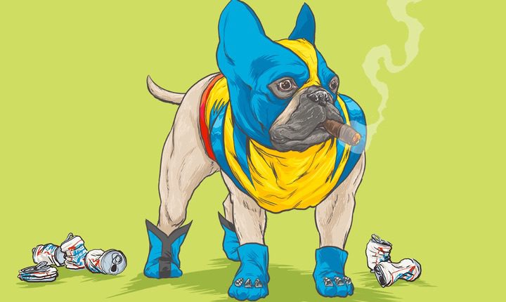 Perro Marvel