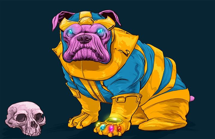 Perro Marvel