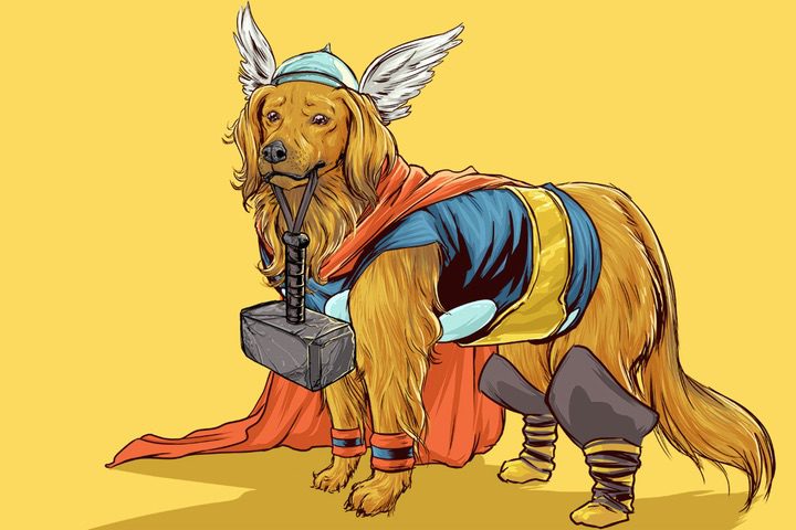 Perro Marvel