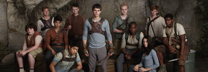  The Maze Runner