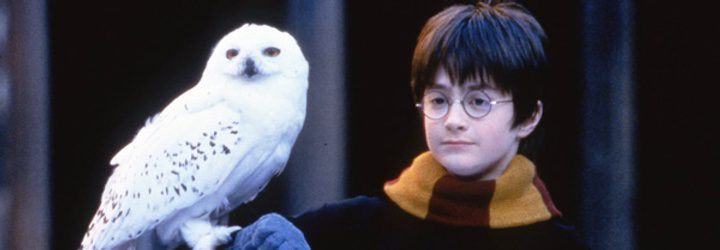 harry y hedwig