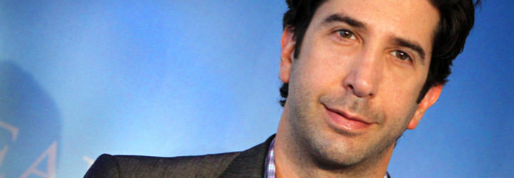  David Schwimmer