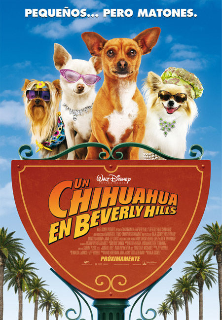 Cartel de 'Un chihuahua en beverly Hills'