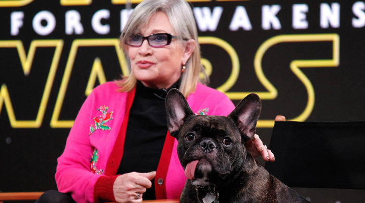 Carrie Fisher y su perro Gary