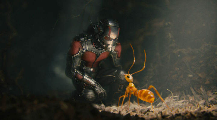 Ant-Man, una pequeña gran película