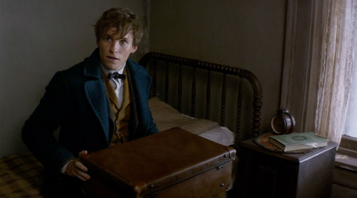 Newt Scamander