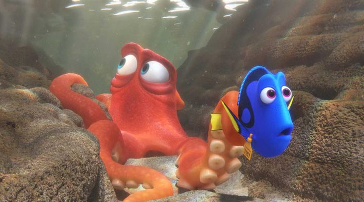  Dory y pulpo