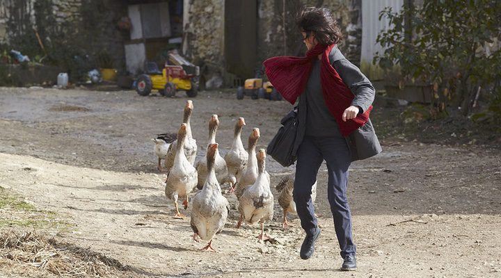  Marianne Denicourt en 'Un doctor en la campiña'