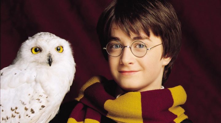 Harry Potter con su lechuza Hedwig