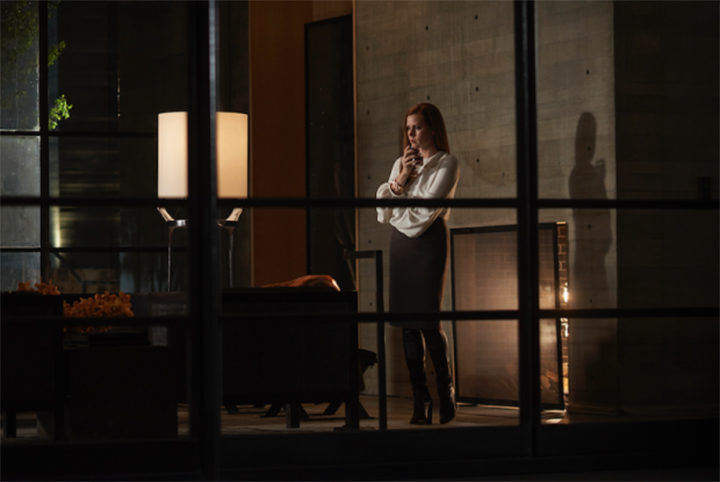 Nocturnal Animals