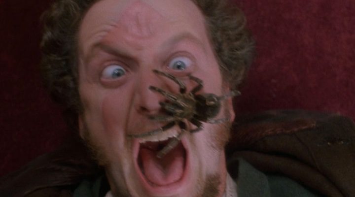 Daniel Stern y su amiga la araña