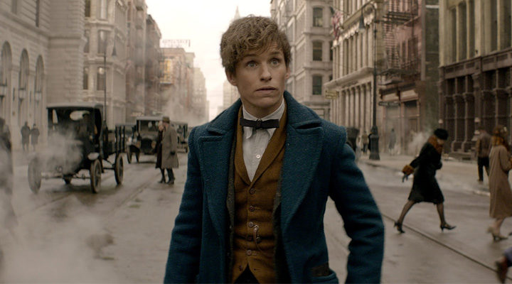  Eddie Redmaine como Newt Scamander en 'Animales fantásticos y dónde encontrarlos'