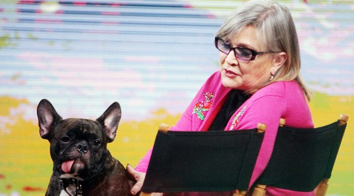 Carrie Fisher y su perro Gary