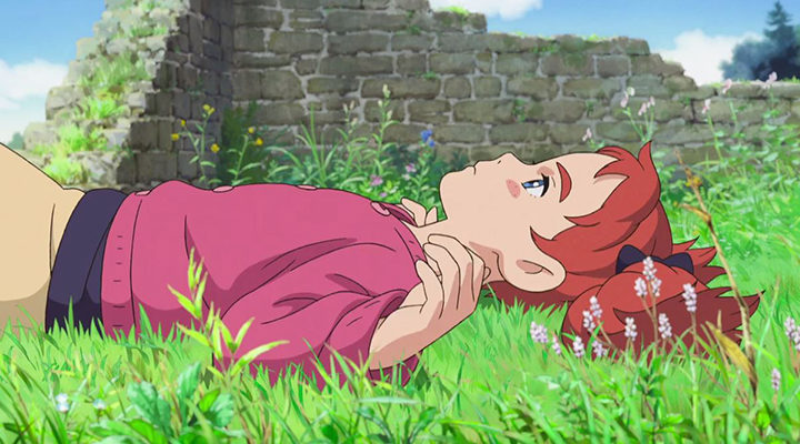 Mary and the Witch's Flower