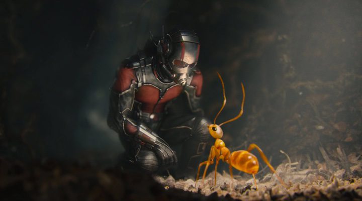 'Ant-Man'