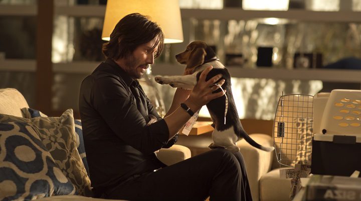 john wick con su perro