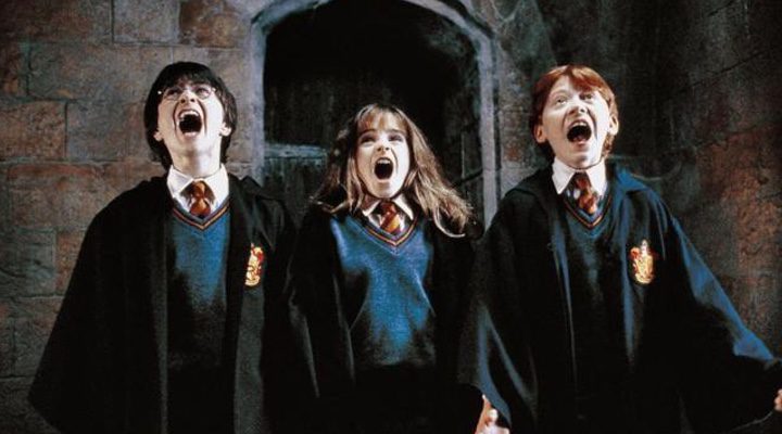  'Harry Potter y la piedra filosofal'