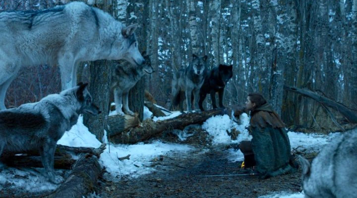 Arya se reencuentra con Nymeria