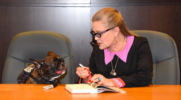 'Star Wars: Los últimos Jedi': El perro de Carrie Fisher la reconoce en pantalla