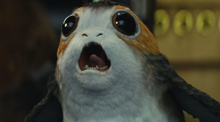 Porg