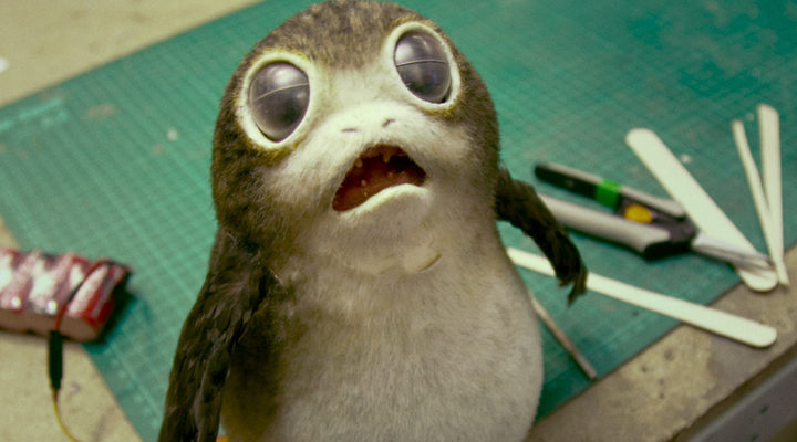 'Porg'