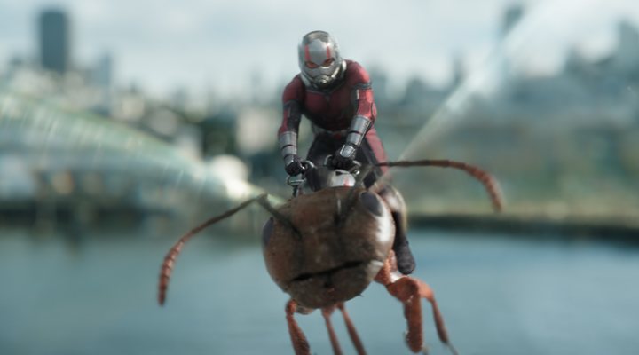 'Ant-Man y la Avispa'