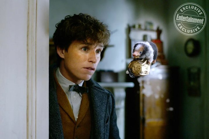 Newt Scamander y un Niffler