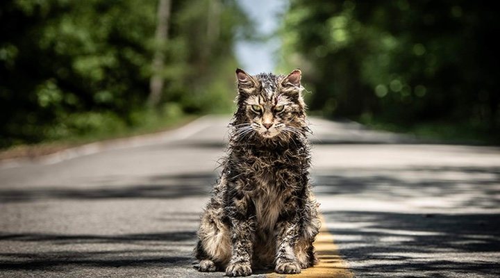  Fotograma de 'Cementerio de animales'