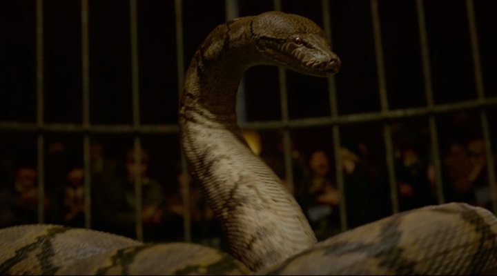  Imagen de la transformación de Nagini en 'Animales Fantásticos: Los crímenes de Grindelwald'