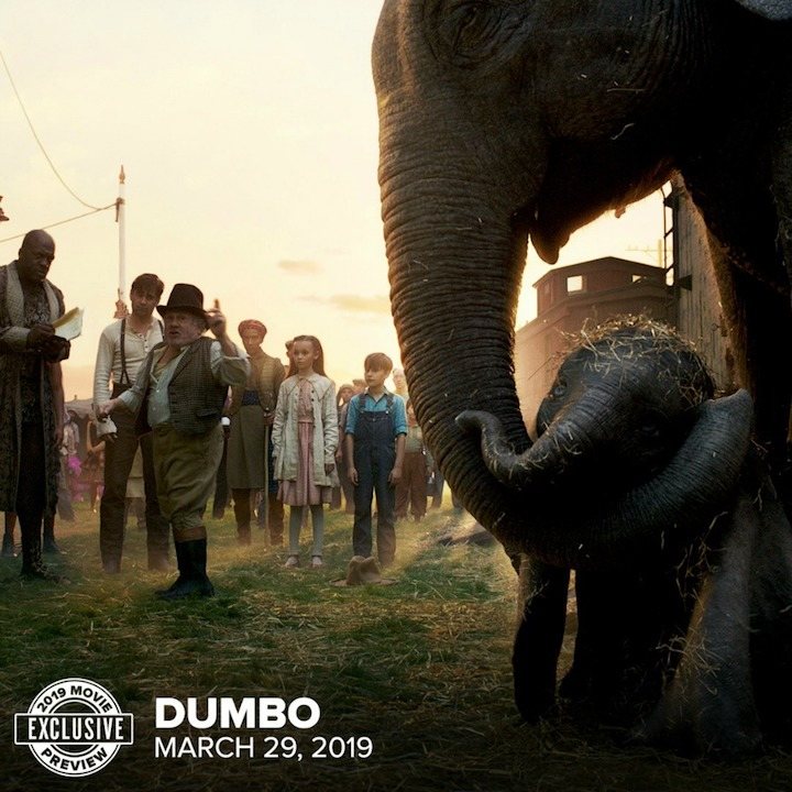 'Dumbo'