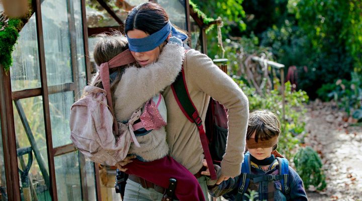 Bird Box Challenge Netflix