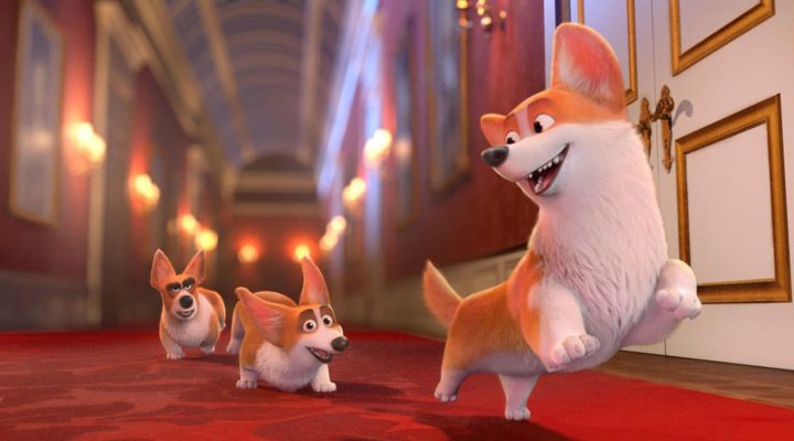 Corgi: Las mascotas de la reina