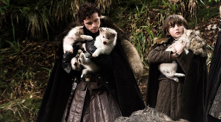 Bebés lobo huargo 'Game Of Thrones'